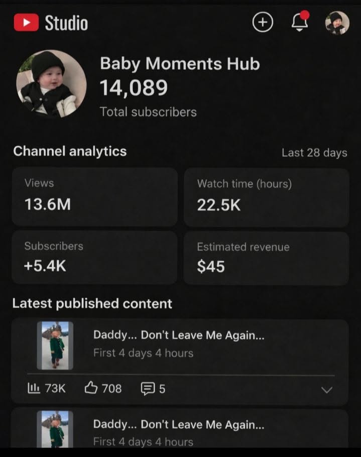 Youtube SEO
